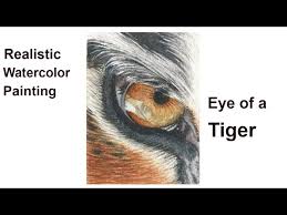 Realistic Eye Of A Tiger In Watercolor