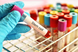 top 10 stem cell banks in india being