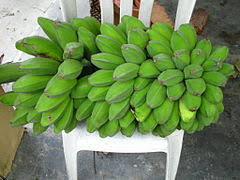 Oleh karena itu, banyak pisang yang tidak bebiji. Pisang Awak Wikipedia Bahasa Melayu Ensiklopedia Bebas