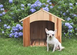 38 Cool Diy Dog House Ideas Indoor