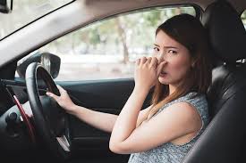 don t ever ignore these 5 car smells
