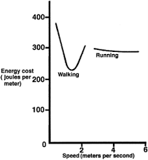 Mythbusting Running A Mile Always Burns The Same Calories
