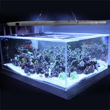 Amazon Com Bozily Aquarium Lights Led 300w Full Spectrum Coral Reef Light For Aquarium Tanks Lighting App Control With Auto On Off Dimming Timer For Saltwater Freshwater Fish Grow Marine Tank