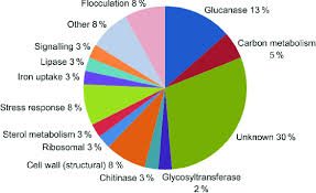 Pie Chart Showing The Functional Categorization Of The