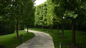 Stone Path In The Park Among Trees And
