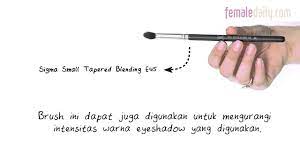 fdbeauty tapered blending brush you