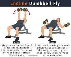 dumbbell flys what is it how to do