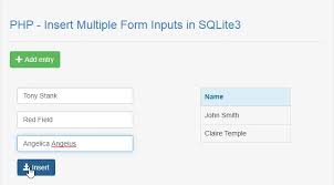 php insert multiple form inputs in