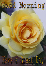 We did not find results for: 51 Beautiful Good Morning Yellow Rose Images Hd 2021 Best Status Pics