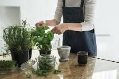 what-is-the-easiest-herb-to-grow