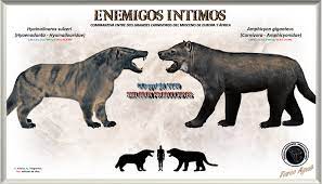 Estos monstruosos carnívoros se... - Smilodon Producciones | Facebook