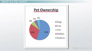What Is A Pie Chart Definition Examples Video