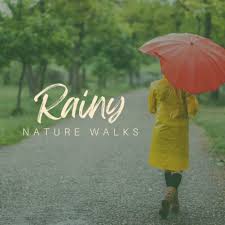 good morning nature rain 2