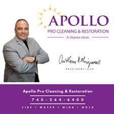 apollo pro cleaning restoration 13