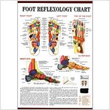 Foot Reflexology Chart Wall Map English Version Chinese