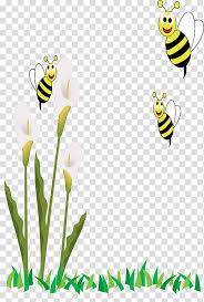 Create a circle for the head, eyes and. Flower Stem Honey Bee Insect Cartoon Drawing Honeybee Bumblebee Yellow Transparent Background Png Clipart Hiclipart