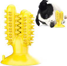 Pet Supplies : Splooty Paw Yellow Dog Toothbrush Chew Toy - Dog Toy  Toothbrush Stick/Teeth Cleaning Toy for Dogs/Puppy Teething Chew Toy to  Ensure Their Oral Health and Dental Hygiene : Amazon.com