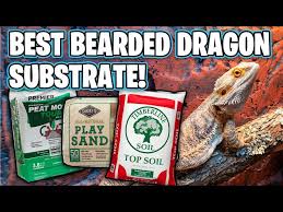 best substrate for bearded dragons