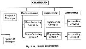 Matrix Organisation Meaning Merits And Demerits With Diagram