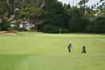 Queens Park Golf Club, Invercargill | Southland, New Zealand
