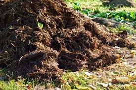 how to use horse manure with no regrets