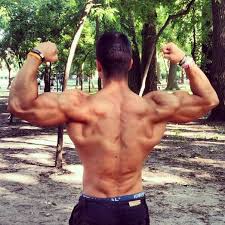 how to build muscle m calisthenics