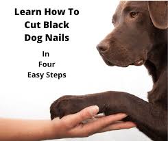 learn how to cut black dog nails in 4