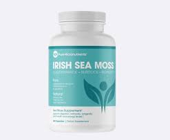 20 Best Sea Moss Pills of 2022 | Discover Magazine