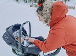 Nuna Pipa Lite Lx Infant Car Seat