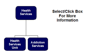 Organizational Chart Health
