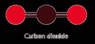a molecule of carbon dioxide is made up