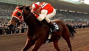 Seabiscuit is the greatest horse i ever john red pollard (seabiscuit's primary rider). Seabiscuit An American Legend By Laura Hillenbrand