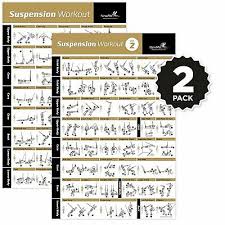 Suspension Exercise Poster Laminated Strength Training