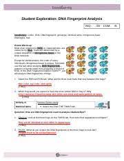 Dna profiling gizmo answers quizlet : Dna Analysis Gizmo Explorelearning Pdf Assessment Questions Print Page Questions Answers 1 Shown Below Are The Dna Scans For Three Frogs That Look Course Hero