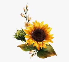 flowerpng #sunflower #overlays #kpopedit #freetoedit - Transparent Background Sunflower Clipart, Png Download , Transparent Png Image - PNGitem