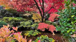 enjoy butchart gardens in fall colours