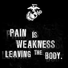 The marine forces reserve (marforres or mfr), also known as the united states marine corps reserve (usmcr) and the u.s. Usmc Quotes Tumblr Pain By Us Marine Corps Decalgirl Dogtrainingobedienceschool Com
