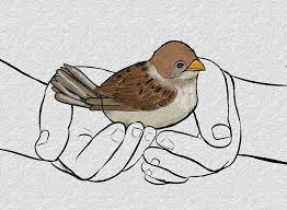 300+ Free Little Sparrow & Sparrow Images - Pixabay