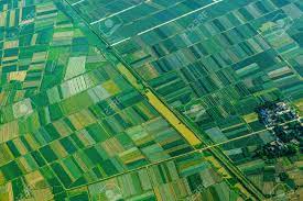 Rice Fields, View From Above Stock Photo, Picture And Royalty Free Image.  Image 104085412.