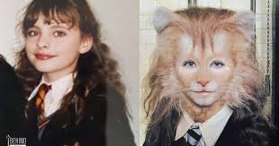 cô mèo hermione lông lá ở harry potter