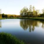 Sunnybrae Golf Club (Port Perry) - All You Need to Know BEFORE You Go