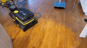 dirty to clean hardwood floor