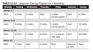 Training Program Considerations For Endurance Runners