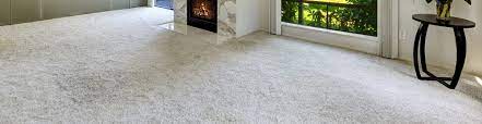 carpet cleaning in palatine il
