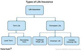Term life insurance these types of life insurance policies provide both a fixed premium (the amount you'll pay) as well as a fixed death benefit (the purchasing through your employer's marketplace will generally be the least expensive way to obtain a life insurance policy. What Are The Different Types Of Life Insurance Policies