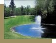 Eagle River Wisconsin Golf Course - Lake Forest Golf Club ...