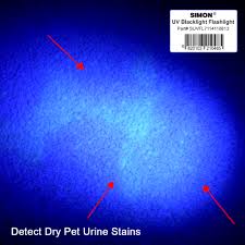 Cat Urine Uv Blacklight Flashlight Find Dry Pet Urine Spots In Stock