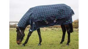 best heavyweight turnout rugs for all