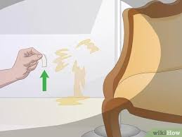 How To Find Cat Urine With A Uv Light 10 Steps With Pictures