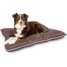 Outdoor Dog Bed The 7 Best Ones For